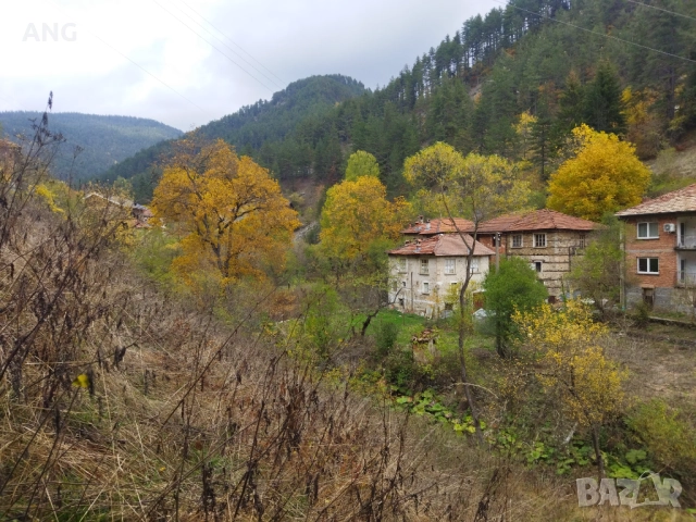 Продава каменна къща в Родопите , снимка 3 - Къщи - 52134355