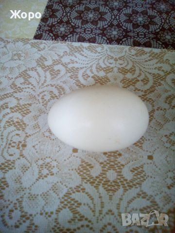 гъши яйца оплодени за люпене, снимка 3 - Патици и гъски - 45738226