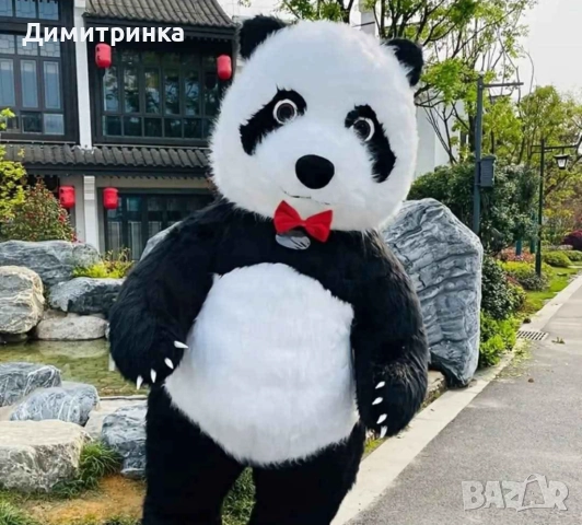 Огромна панда изненада 