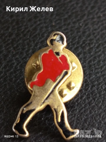 Рядка значка много красива интересна стара за КОЛЕКЦИЯ ДЕКОРАЦИЯ 35129, снимка 2 - Колекции - 51394296