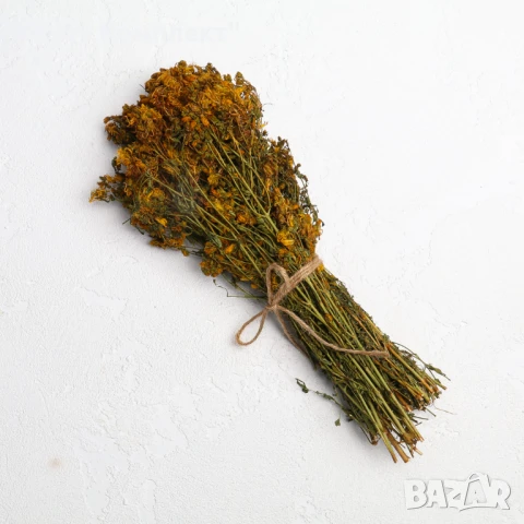 Продавам сушени билки - жълт кантарион,драка и хвощ на килограм , снимка 5 - Домашни продукти - 51324955