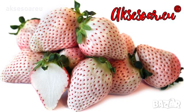 100 семена от плод бяла ягода органични плодови ягодови семена от вкусни ягоди отлични плодове с мно, снимка 15 - Сортови семена и луковици - 46471597