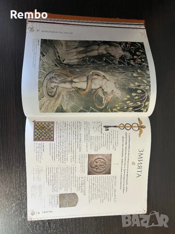 Знаци и символи, снимка 4 - Други - 50823010