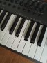 Nektar Impact LX61+ MIDI клавиатура / контролер, снимка 3