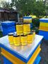 Мед Акация-2024, снимка 1 - Пчелни продукти - 45899690