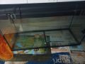 Продавам аквариум, снимка 1 - Оборудване за аквариуми - 45811760