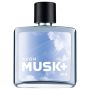Тоалетна вода Musk Air (011), снимка 1 - Дамски парфюми - 45781016