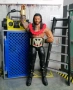 WWE фигурки на Roman Reigns Роман Рейнс elite Basic OTC Tribal Chief Bloodline, снимка 4