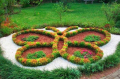Цветен Дървесен Мулч, снимка 1 - Градински цветя и растения - 36819497
