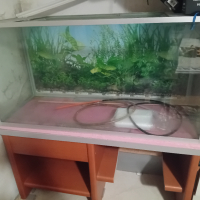 Продавам аквариум със шкаф . Има минимални следи от употреба., снимка 1 - Аквариуми - 44976851
