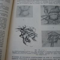 Оперативна хирургия - том 3 - 1962 г., снимка 5 - Специализирана литература - 45687465