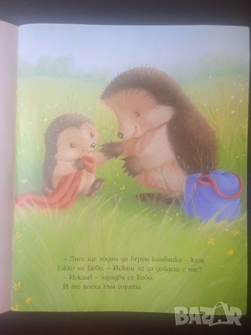 Малкото Таралежче: Излет в гората , снимка 3 - Детски книжки - 45724845