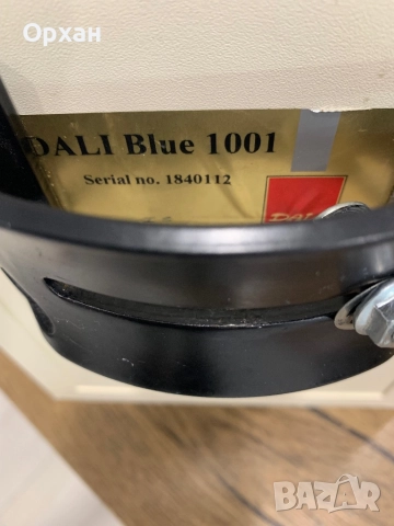 Dali Blue 1001, снимка 6 - Тонколони - 52967215