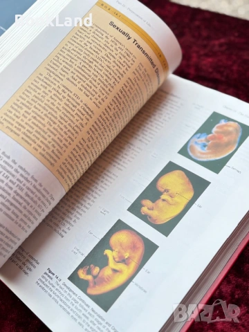 The nature of life, снимка 14 - Художествена литература - 53948126