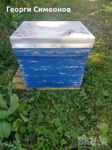Пчелни кошери , снимка 2 - За пчели - 46296672
