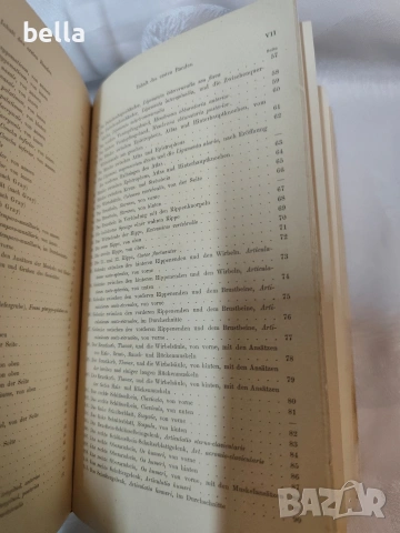 Антикварен медицински атлас по Анатомия (1875 г.) – Dr. Heitzmann 1875 год. , снимка 8 - Антикварни и старинни предмети - 53618907