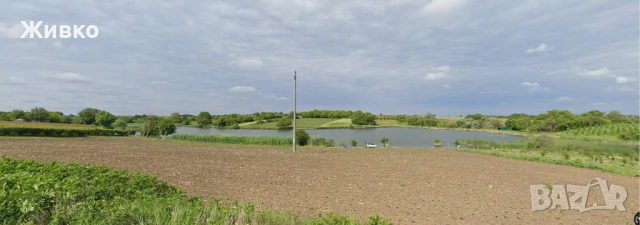 Стара къща в село Сокол, обл. Силистра , снимка 15 - Къщи - 45406043