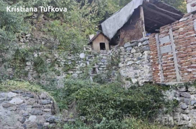 Къща с двор- с. Голямо Белово, снимка 4 - Къщи - 54014519