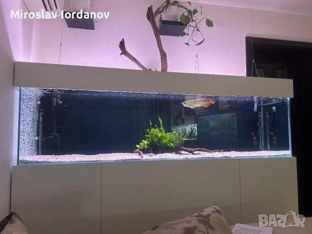 Аквариум 200/50/50