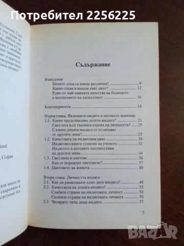 Децата на новото хилядолетие, снимка 7 - Художествена литература - 50844857