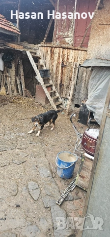 женска на 1г , снимка 4 - Други - 53249357