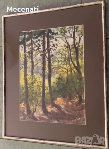 БИСЕРА ПРАХОВА - акварел , снимка 3 - Картини - 53100138