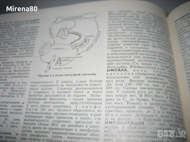 Биологический енциклопедический словарь, снимка 6 - Чуждоезиково обучение, речници - 52878461