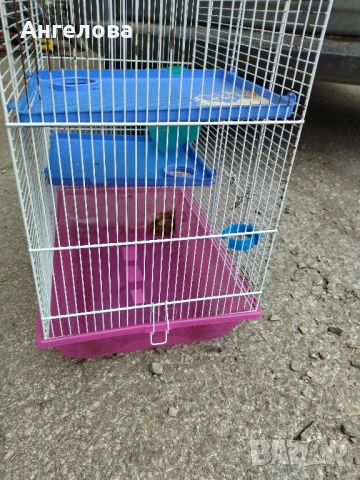 Клетка за птички, снимка 2 - За птици - 51066022