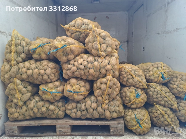 Картофи. РАВНОГОРСКИ, снимка 5 - Обзавеждане за заведение - 53466639