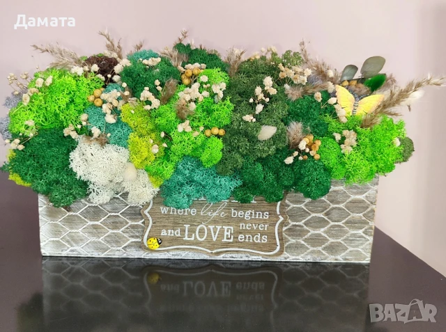 Различни видове кашпи със скандинавски мъх , снимка 2 - Декорация за дома - 45370583