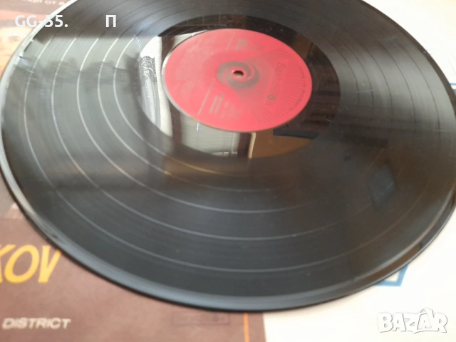 Грамофонни плочи, снимка 2 - Грамофонни плочи - 53211518