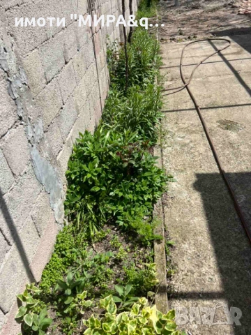 Къща с двор в кв.Болярово,гр.Хасково, снимка 8 - Къщи - 53897578