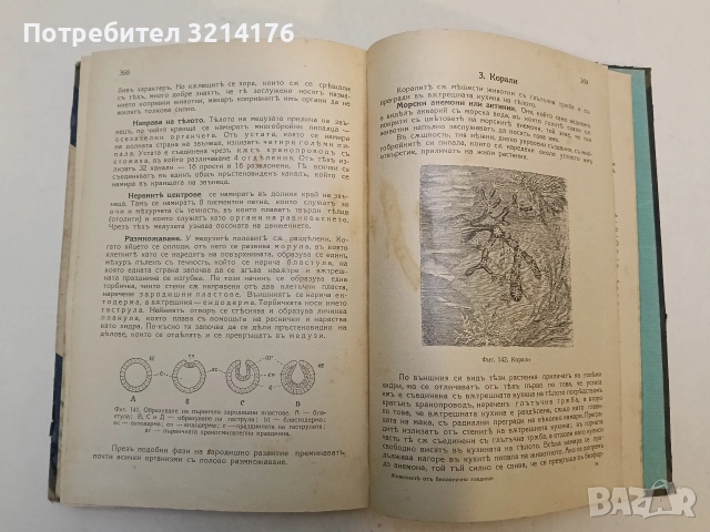 Животнитѣ от биологично гледище - Борис Митов (1935, Луксозна изработка, Отлично състояние), снимка 17 - Специализирана литература - 52773226