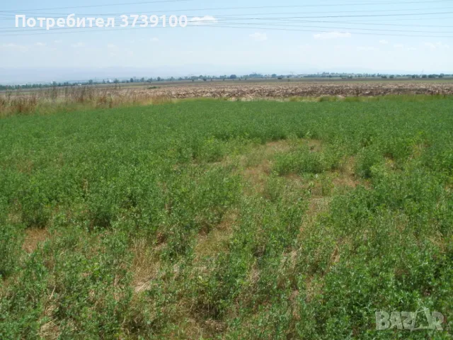 Земеделска земя Горни Лозен 4 декара близо  околовръстното, снимка 3 - Земеделска земя - 47525333