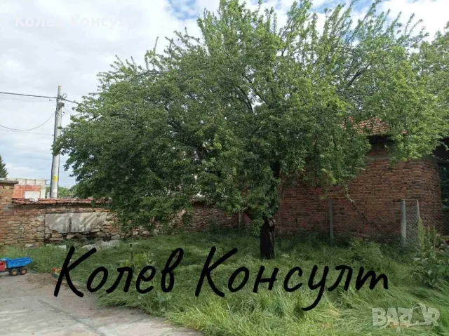 Продавам къща, с. Добрич, снимка 11 - Къщи - 48674018