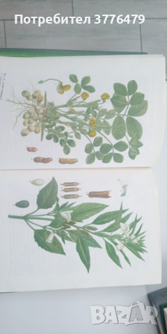 Тропични и субтропични лекарствени растения, снимка 4 - Специализирана литература - 44990836