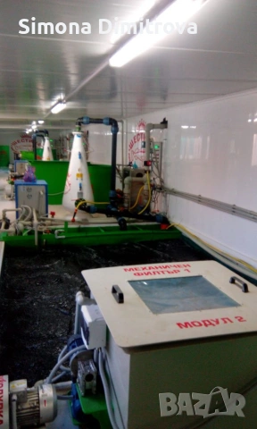 Есетра - заробител материал , снимка 4 - Стръв и захранки - 53833272