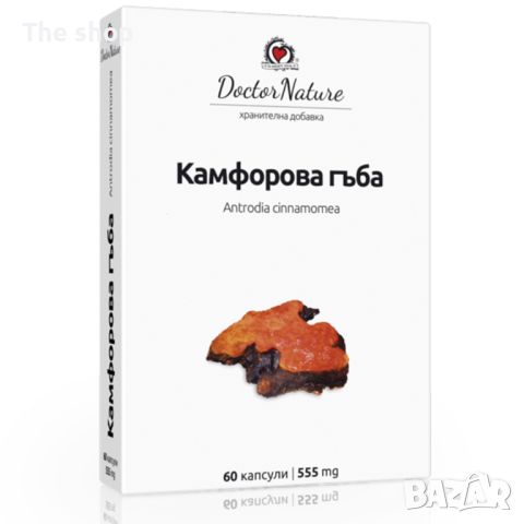 Камфорова гъба (Antrodia cinnamomea) 60 капсули х 555 мг (009), снимка 1 - Хранителни добавки - 45976349