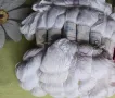 памучни чилета, конци,прежда, снимка 2