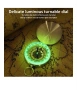 Навигационен компас, светещ метален компас, малки размери, за къмпинг, ориентиране, дейности на откр, снимка 4