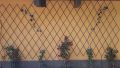 Изработка и монтаж на градински пана, решетки и цветарници