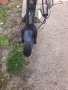 Електрическа тротинетка Segway F2 pro, снимка 8