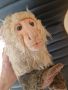 Плюшена реалистична маймуна, снимка 1 - Плюшени играчки - 45828343
