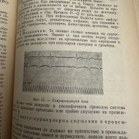 Електрокардиография и векторграфия на сърдечните заболявания -Вл.Буйклийски,1947,стр.125, снимка 7 - Специализирана литература - 45321484