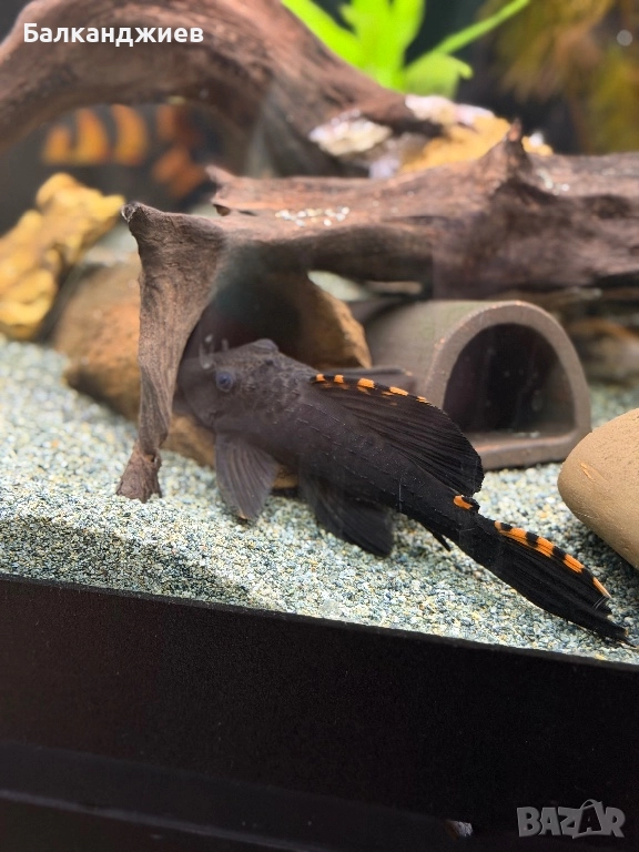 L091 17см, снимка 1