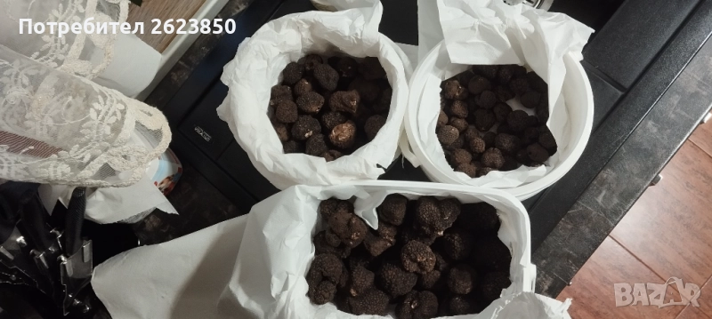 Черен Есенен Трюфел, снимка 1