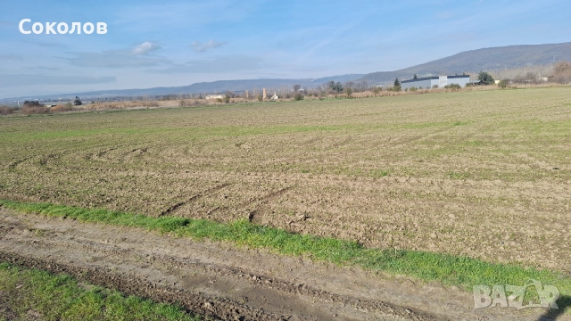 Парцел 4,3 дк землище Игнатиево, снимка 4 - Земеделска земя - 52635874