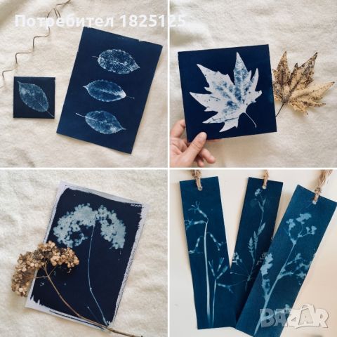 Материали за Цианотипия Cyanotype комплекти, разтвори, вещества, химия, снимка 10 - Декорация за дома - 45163868