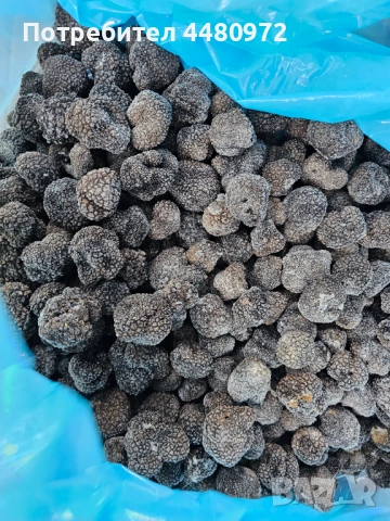 Черен замразен трюфел, снимка 2 - Други - 53358788