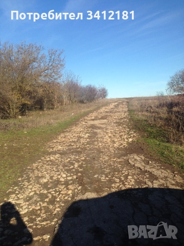 Голям парцел за застрояване в село Бежаново област Добрич собственик , снимка 7 - Парцели - 52341682
